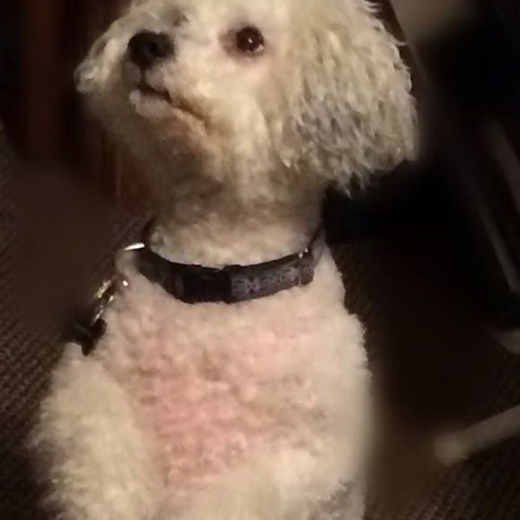 mimijeannie